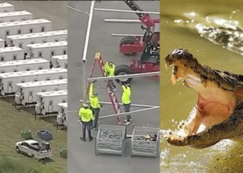 “¡Alcatraz de los Caimanes!” Florida construirá mega prisión para migrantes