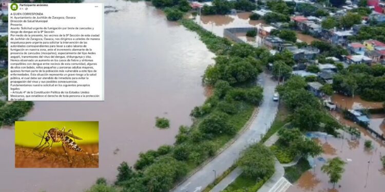 ¿Hasta que haya muertes? Vecinos suplican fumigación ante eminente brote de dengue en Juchitán