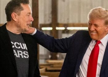 ¡Explota la bomba en USA! Musk vincula a Trump con Epstein y desata una guerra de poder sin precedentes