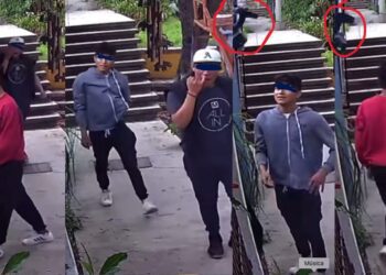 VIDEO “¡Así empiezan los ladrones!” Jóvenes intentan robar cámaras en viviendas de Oaxaca y son ahuyentados por un perro