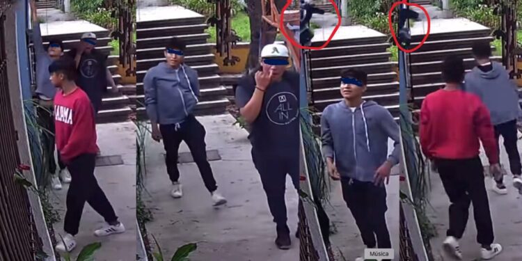 VIDEO “¡Así empiezan los ladrones!” Jóvenes intentan robar cámaras en viviendas de Oaxaca y son ahuyentados por un perro