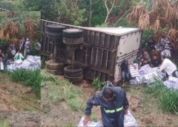 Tráiler con pañales se vuelca en el Istmo y desata ola de rapiña