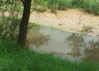 ¡Corrupción, simulación y aguas negras! El fracaso del rescate de los ríos Atoyac y Salado