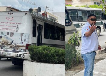 ¿Quién frena a los choferes? “Conducen como bestias”: mujer cae del camión por brutal frenón