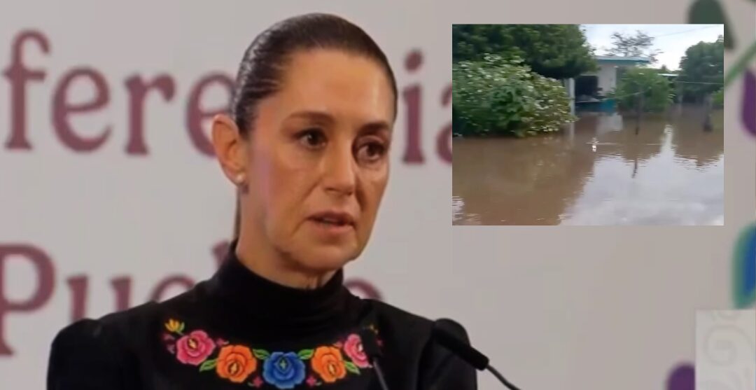 Sheinbaum viaja a Oaxaca para atender emergencia por huracán Erick. Noticias en tiempo real