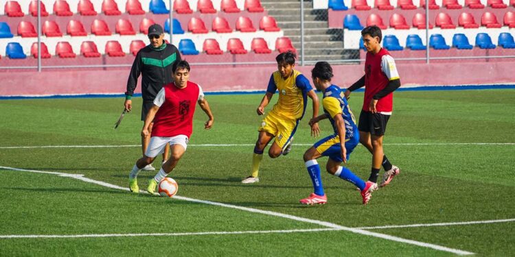 Chapulineros de Oaxaca está por definir a su plantel.