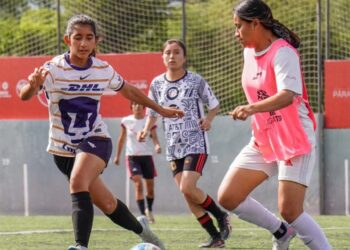 Quedó definido el plantel femenil de Dragones.