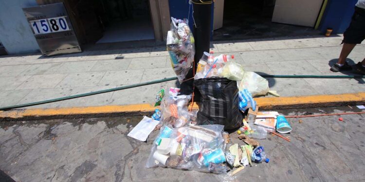 Tan solo por los conciertos en el zócalo de recolectaron 3 toneladas de desechos.
