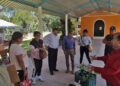La agricultura orgánica también se caracteriza por usar solo semillas naturales.