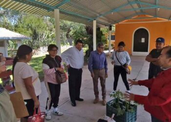 La agricultura orgánica también se caracteriza por usar solo semillas naturales.