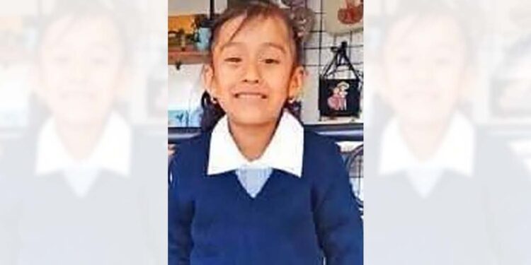 Al momento de desaparecer se encontraba con Reyna Dolores Zaragoza.