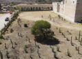 Foto: UNAM // El jardín mostrará la riqueza que alberga el Geoparque.