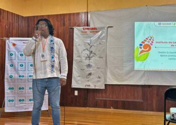 Foto: Facebook ILEO // El titular de la dependencia, Víctor Cata destacó que las lenguas originarias son la raíz viva de la identidad oaxaqueña.