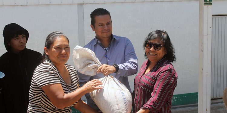 La finalidad es que las personas encuentren en el cultivo casero productos de gran valor, libres de químicos y saludables.