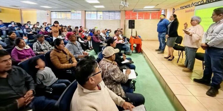 Unen esfuerzos para crear un mercado fijo que promueva el comercio responsable y la producción agroecológica en la región.