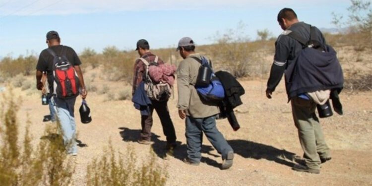 Foto: archivo // La gran mayoría de los migrantes oaxaqueños se niegan a retornar a sus tierras e insisten con volver a cruzar la frontera norte.