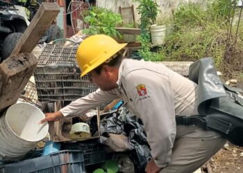 Da cuenta Conave de dos muertes por dengue en Oaxaca