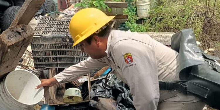 Da cuenta Conave de dos muertes por dengue en Oaxaca