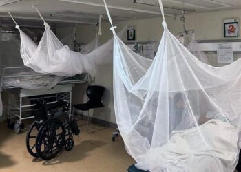 Foto: archivo // En mortalidad, Oaxaca se encuentra entre las 14 entidades del país en presentar decesos por dengue.