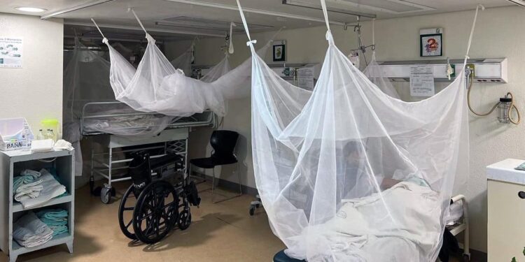 Foto: archivo // En mortalidad, Oaxaca se encuentra entre las 14 entidades del país en presentar decesos por dengue.