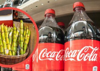 ¿Coca-Cola volverá al azúcar de caña en EE. UU.? Trump genera debate sobre el futuro de la bebida