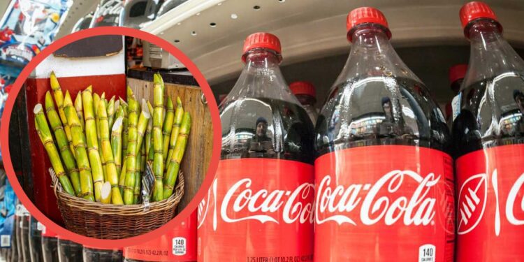 ¿Coca-Cola volverá al azúcar de caña en EE. UU.? Trump genera debate sobre el futuro de la bebida