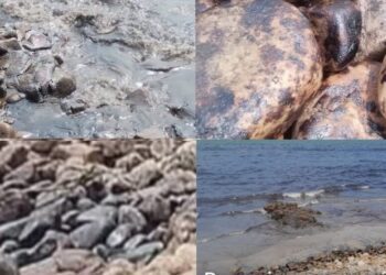 Derrame de hidrocarburos tiñe de negro la Bahía La Ventosa y paraliza la pesca en Salina Cruz