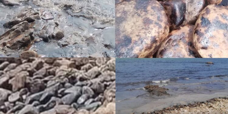 Derrame de hidrocarburos tiñe de negro la Bahía La Ventosa y paraliza la pesca en Salina Cruz
