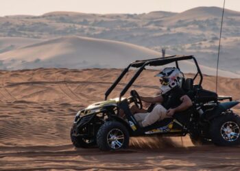 Dónde comprar un buggy en venta en México en línea