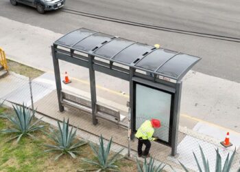 Dan manita de gato a 30 parabuses del Citybus; ¿Qué opinas?