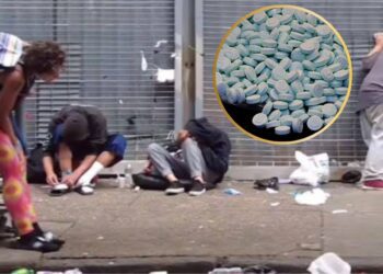 Aumento del uso de la peligrosa “Droga Zombie” en México y América Latina: alerta de la UNODC