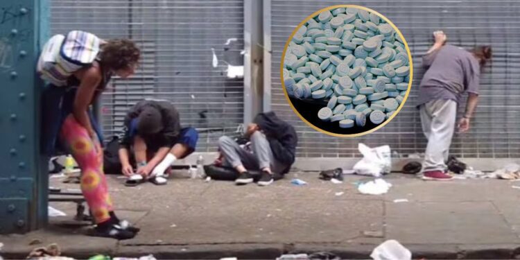 Aumento del uso de la peligrosa “Droga Zombie” en México y América Latina: alerta de la UNODC