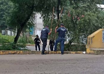 Elementos de la Policía Municipal realizan recorridos por la ribera del río.