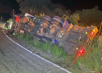 El chofer resultó ileso, pero varias aves terminaron regadas junto a la carretera.