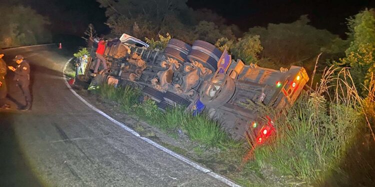 El chofer resultó ileso, pero varias aves terminaron regadas junto a la carretera.