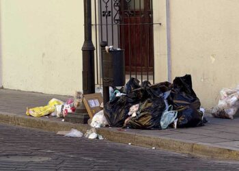En la capital se recolectan poco más de 450 toneladas de residuos diariamente.