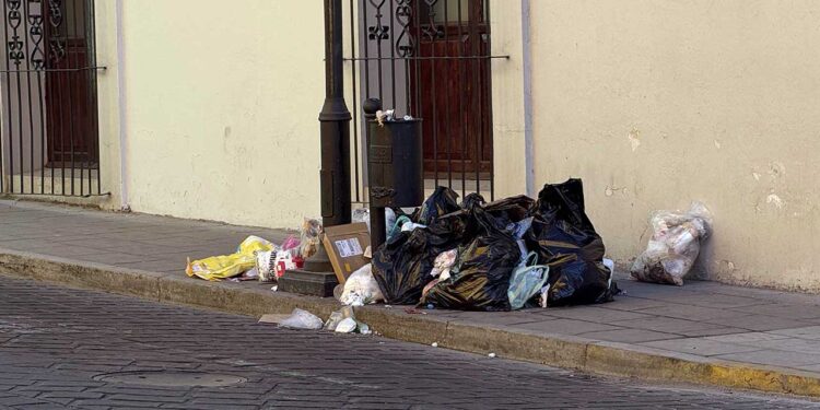 En la capital se recolectan poco más de 450 toneladas de residuos diariamente.