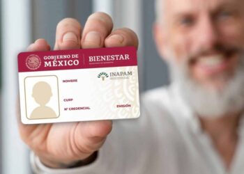 ¿Por qué INAPAM sí da descuentos… pero nunca en tu recibo de luz?