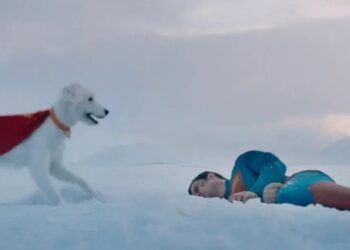 El efecto Krypto: Cómo Superman impulsó un aumento sorprendente en las adopciones de perros