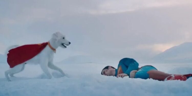 El efecto Krypto: Cómo Superman impulsó un aumento sorprendente en las adopciones de perros