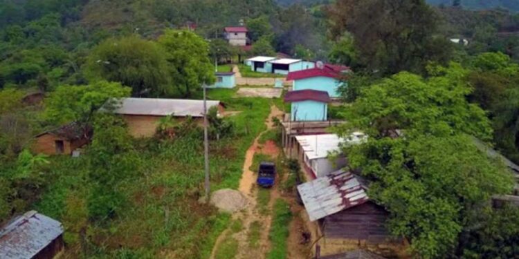 La Vicefiscalía Regional de la Mixteca activó un equipo multidisciplinario.