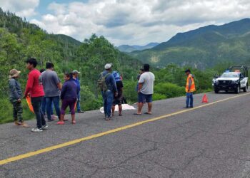 La víctima mortal fue extraída de los restos del vehículo y cubierta con una sábana blanca.