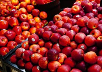 ¿Es seguro comer la cera de las manzanas del supermercado?