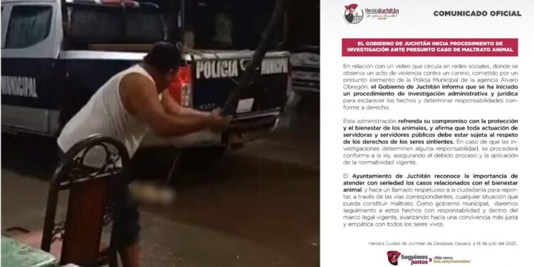 ¡Indignación en Juchitán! Policía es captado golpeando salvajemente a perrito y es destituido, pero exigen castigo penal