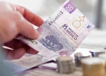 Foto: internet – ilustrativa // Oaxaca representa la tercera entidad del país con el peor promedio de ingreso corriente trimestral en 2024 con 52 mil 025 pesos.