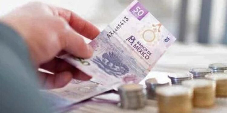 Foto: internet – ilustrativa // Oaxaca representa la tercera entidad del país con el peor promedio de ingreso corriente trimestral en 2024 con 52 mil 025 pesos.