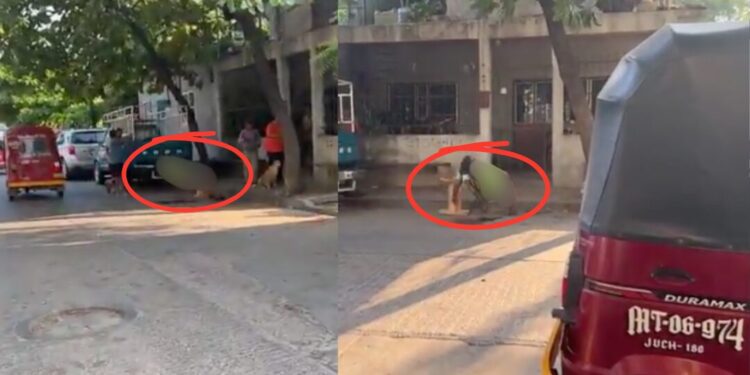 ¡Acribillan a a mototaxista en Juchitán! Fiscalía investiga crimen ocurrido en plena vía pública
