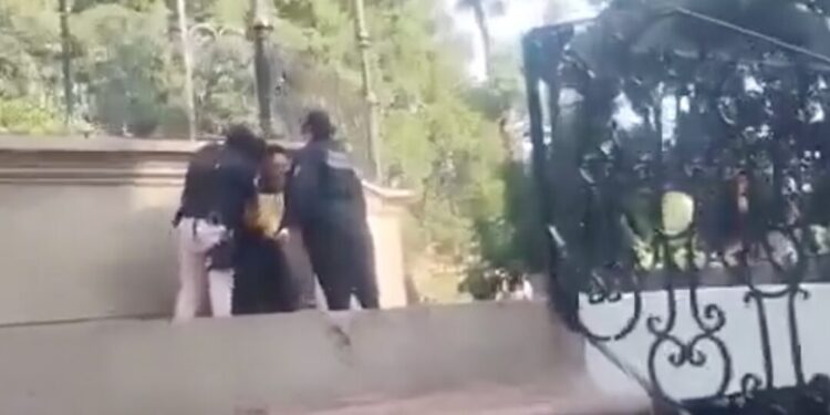 ¡Escena impactante en el zócalo! ¿Quién cuida a los que gritan en silencio en las calles de Oaxaca?