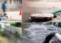 “¡Crimen ambiental!” Acusan a alcalde de Tlacotepec por envenenar manantial con aguas negras