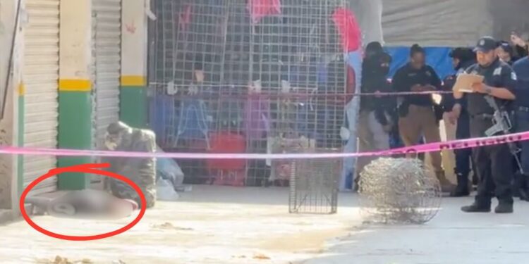 VIDEO ¡Asesinato a plena luz del día en la Central de Abasto de Oaxaca!